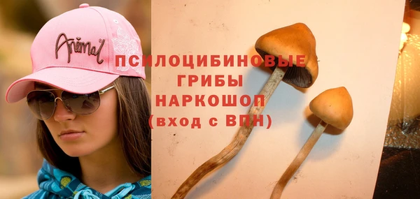 spice Ладушкин