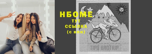 мдпв Лагань