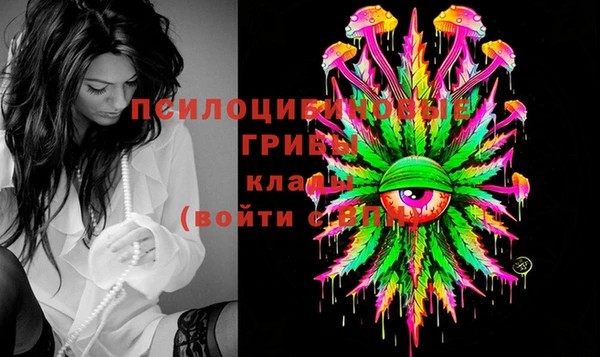 spice Ладушкин
