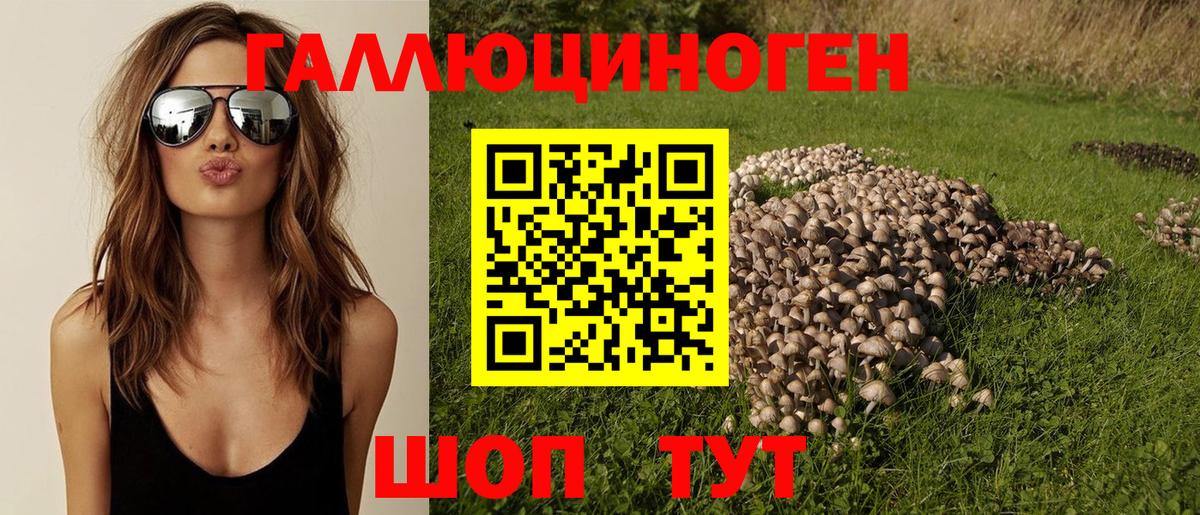 Екатеринбург  Псилоцибиновые грибы мицелий  Вход с VPN 