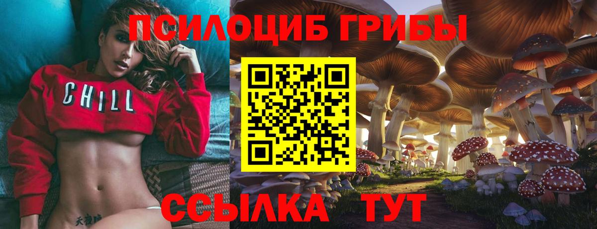 Псилоцибиновые грибы MAGIC MUSHROOMS Екатеринбург